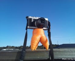 camera_carrot